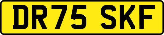 DR75SKF