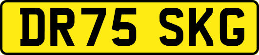 DR75SKG