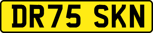 DR75SKN