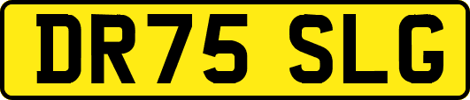 DR75SLG