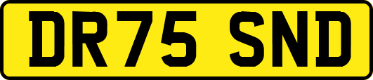 DR75SND