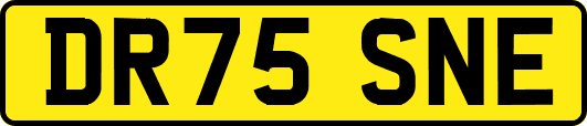 DR75SNE