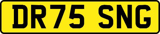 DR75SNG