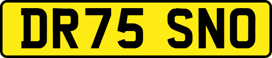 DR75SNO