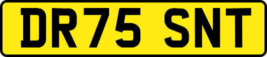 DR75SNT