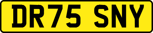 DR75SNY