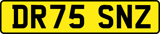 DR75SNZ