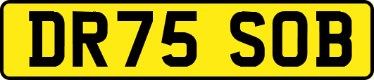 DR75SOB