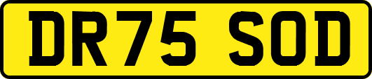 DR75SOD