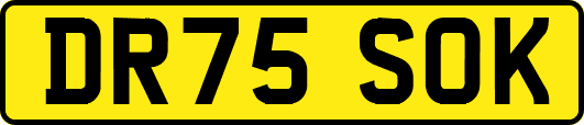 DR75SOK