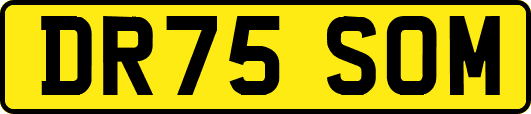 DR75SOM
