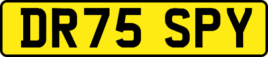 DR75SPY