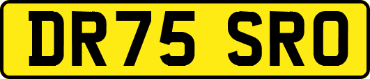 DR75SRO
