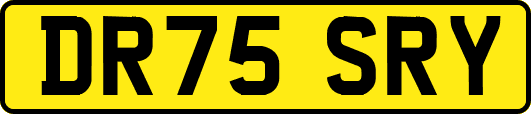 DR75SRY