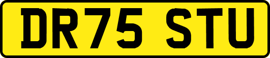 DR75STU