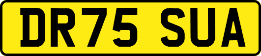 DR75SUA