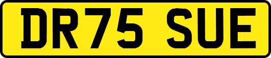 DR75SUE