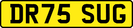 DR75SUG