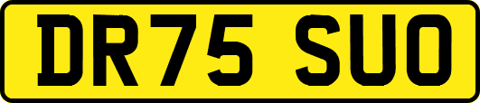 DR75SUO