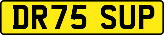 DR75SUP