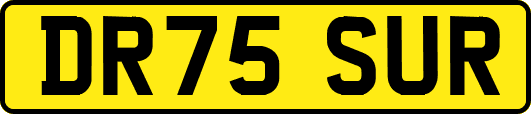 DR75SUR
