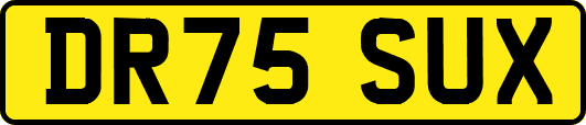 DR75SUX