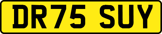 DR75SUY