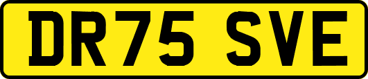 DR75SVE