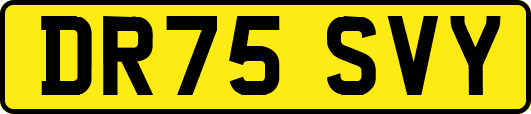 DR75SVY