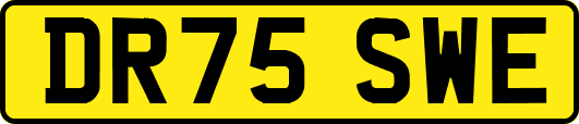 DR75SWE