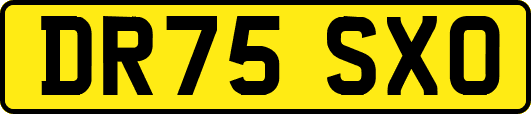 DR75SXO