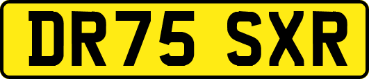 DR75SXR
