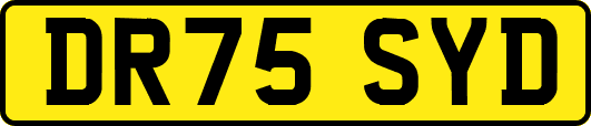 DR75SYD