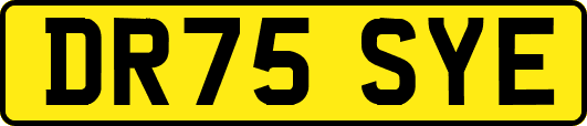DR75SYE
