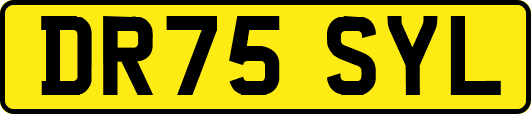 DR75SYL
