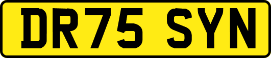 DR75SYN