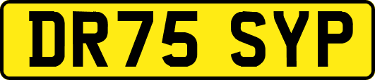 DR75SYP