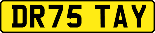 DR75TAY