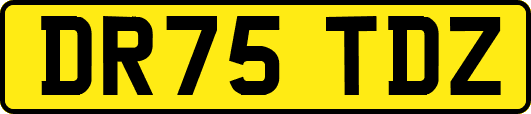 DR75TDZ