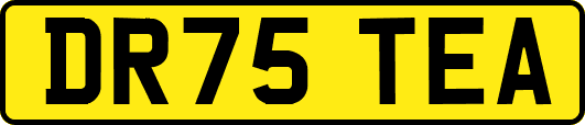 DR75TEA