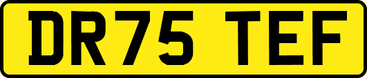 DR75TEF