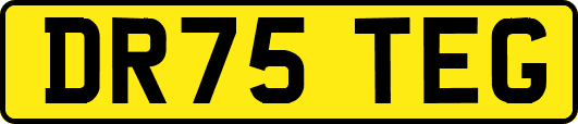 DR75TEG
