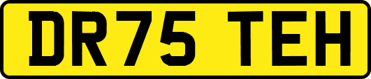 DR75TEH