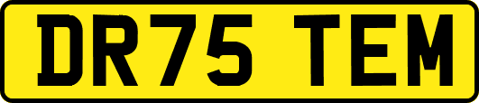 DR75TEM
