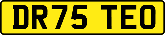 DR75TEO