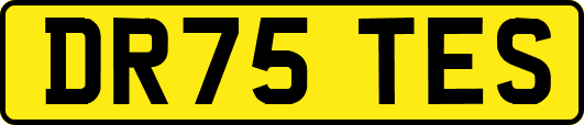 DR75TES