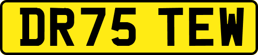 DR75TEW