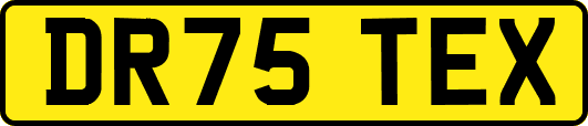 DR75TEX