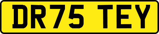 DR75TEY