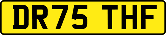 DR75THF